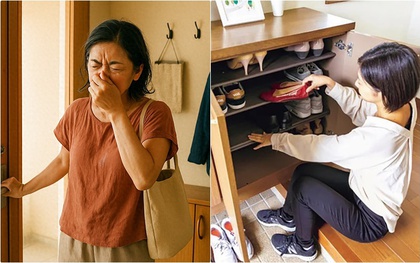 Tủ giày của bạn lúc nào cũng ẩm mốc và bốc mùi? 90% mọi người đều bỏ qua điểm quan trọng này