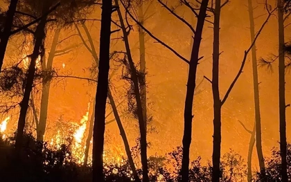 Nghệ An: Hơn 400 người nỗ lực chữa cháy rừng trong đêm