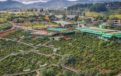 Du khách bất bình với giá cà phê 100.000 đồng ở Đà Lạt, lãnh đạo phường lên tiếng