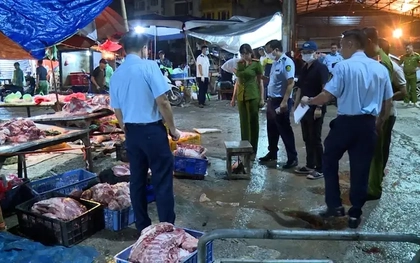 Hà Nội: Phát hiện 5 đối tượng mua bán, vận chuyển, tiêu thụ lợn chết, lợn bệnh