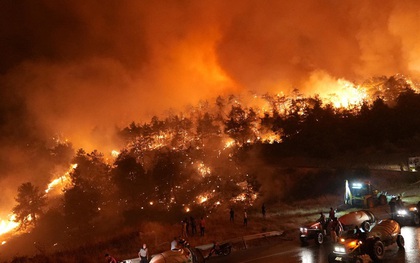 Sóng nhiệt càn quét khắp thế giới, nắng nóng cực đoan xuất hiện nhiều nơi