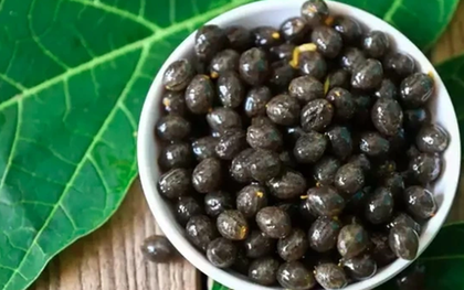 Đừng chỉ ăn quả, hạt loại cây này quý như "nhân sâm của người nghèo"