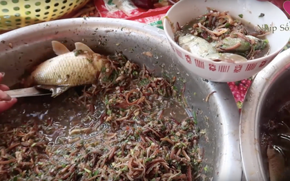 Những món ăn sống ám ảnh nhất Việt Nam: Có món là đặc sản lừng danh nhưng vẫn khiến nhiều người e sợ