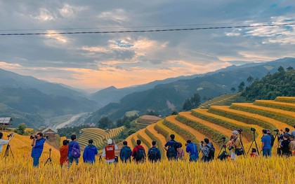 Ngọn đồi ở Mù Cang Chải là điểm ngắm mùa lúa chín siêu thực: Du khách nhận xét "Nhất định phải đến!"
