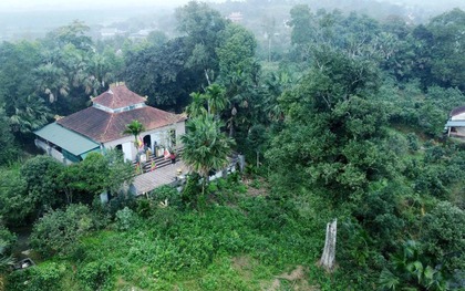 Hai "báu vật sống" hơn 200 năm tuổi ở Hà Tĩnh: Trị giá trăm tỷ, nay chính thức trở thành Di sản Việt Nam