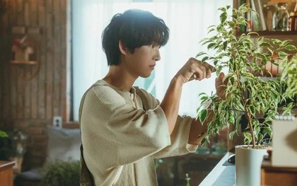 Khán giả lạnh nhạt với phim mới của Song Joong Ki, netizen mỉa mai: Người đàn ông hai lần hôn nhân, giờ đóng phim lãng mạn xem thấy kì