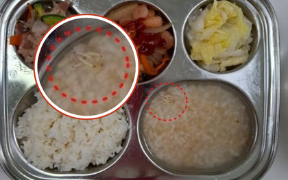 Rùng mình với khay cơm nổi đầy ấu trùng tại một nhà trẻ ở Hàn Quốc