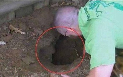Thấy chó sủa dữ dội về phía cái hố ở sân sau, người đàn ông liều mình đào bới và nhận cái kết không ngờ