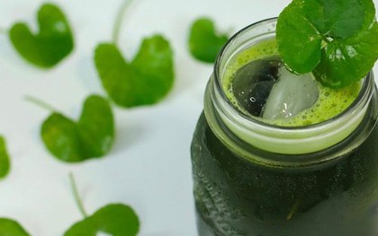 Phụ nữ uống nước rau má vào "thời điểm vàng" này sẽ giúp "hồi xuân", cơ thể căng đầy collagen, da căng bóng