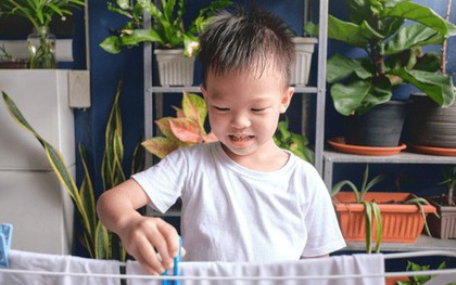 3 dấu hiệu XUNG QUANH NHÀ cho thấy con cái tương lai sẽ thành đạt - Hoàn toàn không phải mê tín