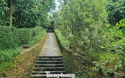 Tới ngôi làng cổ, tường đá rêu phong trong top đẹp nhất Việt Nam
