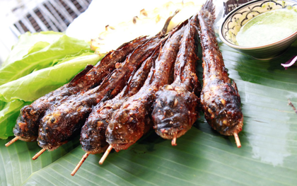 Loài sinh vật kỳ lạ nhất hành tinh có mặt ở miền Tây, ai ngờ lại thành món đặc sản "phá mồi"