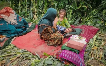 Động đất ở Afghanistan: 3.600 người thương vong, chính quyền Taliban kêu gọi hỗ trợ