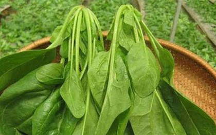 Loại rau được gọi là "siêu thực phẩm" cực tốt với sức khỏe con người