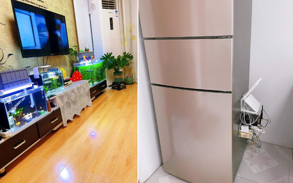Đặt 4 thứ này cạnh bộ phát wifi, bảo sao mạng yếu xìu, chạy chậm như rùa bò: Rất nhiều nhà đang mắc phải!