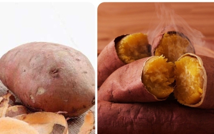 Vỏ khoai lang có tác dụng gì?