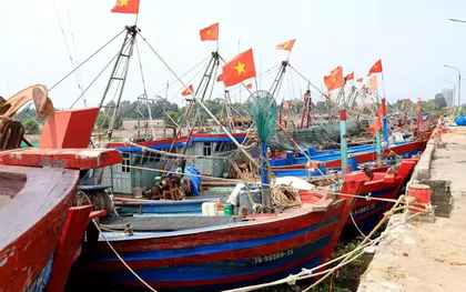 Hưng Yên cấm biển từ 12h trưa nay để ứng phó bão số 9