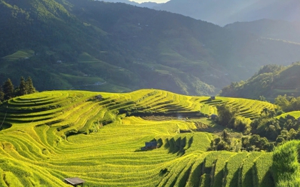 Ngắm những thửa ruộng bậc thang tuyệt đẹp ở Hoàng Su Phì