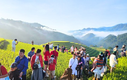 Cảnh tượng diễn ra giữa ruộng bậc thang Mù Cang Chải khiến nhiều người ngỡ ngàng: Hoá ra đây là lý do homestay thi nhau "cháy" phòng