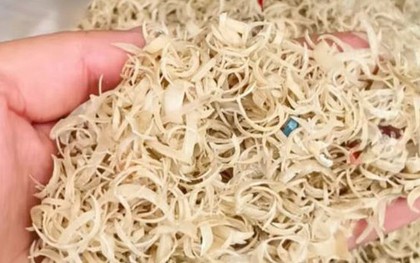 Thứ vô giá trị không ai thèm "ngó" không ngờ được thu mua với giá hơn 500.000 đồng/kg