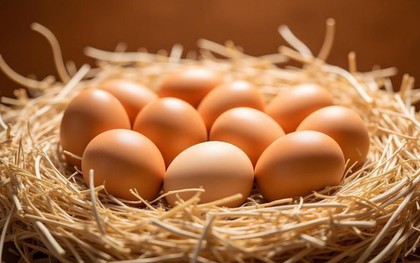 "Bạn đã bảo quản trứng đúng cách chưa?": Có những điều cấm kỵ, hãy nhớ "3 điều nên và 3 điều không nên làm"
