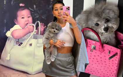 TikToker làm nghề "con gái nhà giàu": 3 tuổi ngồi trong túi Hermès, lớn lên chỉ nuôi chó vừa size Birkin 35