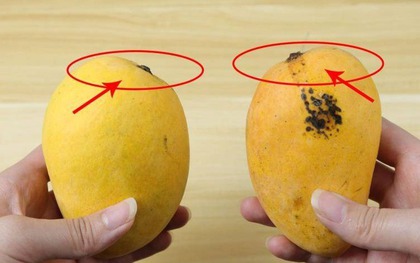 Mua xoài, liếc mắt với 5 mẹo này là biết ngay quả ngon hay quả ủng