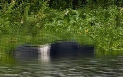 Hai thiếu nữ 16 tuổi cùng phòng trọ tử vong với lời nhắn gửi chủ nhà trọ