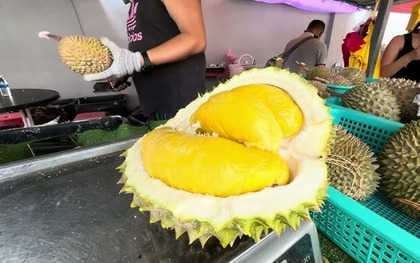 Mua sầu riêng, cứ thuộc mẹo này đảm bảo biết ngay sầu chín cơm hay sầu sượng