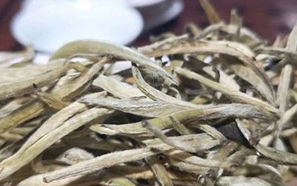 Đặc sản đắt đỏ bậc nhất Việt Nam, giá 680 triệu đồng/kg, ít người biết