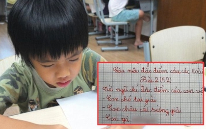 Học sinh tiểu học tả con gà, sáng tạo ra 1 từ khiến nhiều người tra từ điển muốn ngất vẫn không ra đáp án