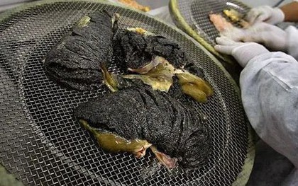 Thứ xưa là thức ăn cho lợn nay "lên đời" thành đặc sản đắt đỏ, 3 tỷ đồng/kg