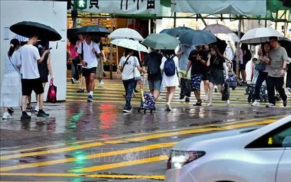 Bão Tapah áp sát phía Nam, Trung Quốc đóng cửa trường học và phát cảnh báo vàng