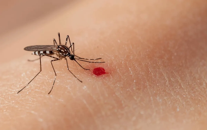 Sốt xuất huyết, tay chân miệng tại TP Hồ Chí Minh giảm