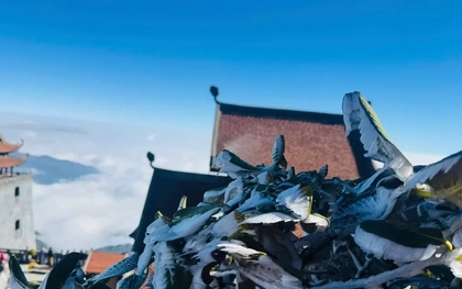 Băng tuyết trắng xóa trên đỉnh Fansipan