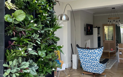 Người xưa dặn: 3 cây nặng âm khí, không nên trồng trong nhà