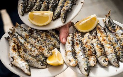 Loài cá được khen "tốt nhất thế giới": Chợ Việt bán chỉ 30.000đ/kg, quanh năm sẵn hàng