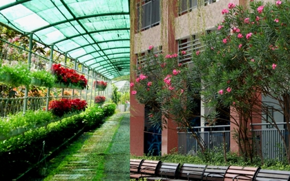 Trường công lập gì mà như resort thế này? Góc nào cũng đầy chất thơ khiến hơn 5 nghìn người phải vào xuýt xoa hết cỡ