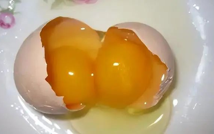 Trứng hai lòng đỏ hay trứng một lòng đỏ: Loại nào bổ hơn?