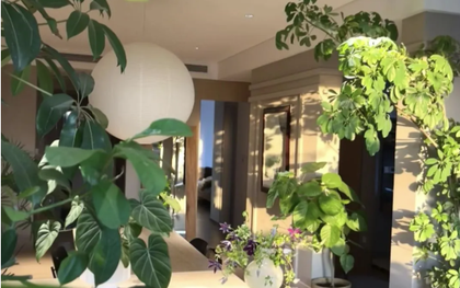 5 cây thu hút thịnh vượng, may mắn: Người giàu chuộng trồng, người nghèo chẳng để tâm