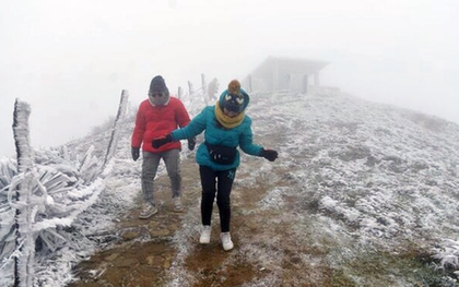 Miền Bắc đón không khí lạnh cực mạnh, bỏ túi ngay 2 "siêu thực" chống cảm lạnh tuyệt vời