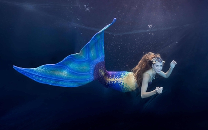 Gặp gỡ nàng tiên cá