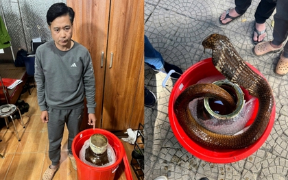 Rùng mình phát hiện bình thủy tinh chứa rắn hổ mang chúa trên ô tô: Khởi tố Phạm Duy Thuyết