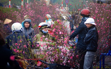 Tin mới nhất về thời tiết Tết Nguyên đán 2026: Nguy cơ mưa lớn kèm rét đậm, rét hại?