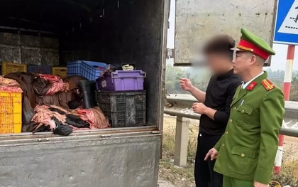 Phát hiện xe tải chở 1,2 tấn mỡ và da trâu không chứng nhận kiểm dịch