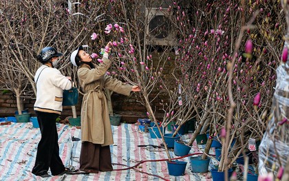 Dự báo thời tiết dịp nghỉ Tết Nguyên đán Bính Ngọ 2026