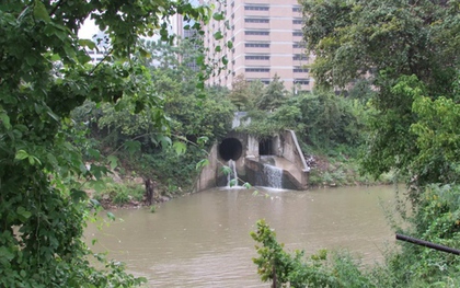 Hơn 30 thi thể vớt từ sông rạch Houston, gây lo ngại về kẻ giết người hàng loạt