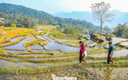 Vẻ đẹp ruộng bậc thang Pù Luông mùa nước đổ