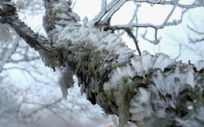 Tiết Đại hàn 2026 bắt đầu từ ngày nào?