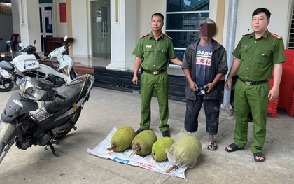 Tuần tra lúc rạng sáng, công an bắt giữ 3 đối tượng trộm 6 trái mít Thái